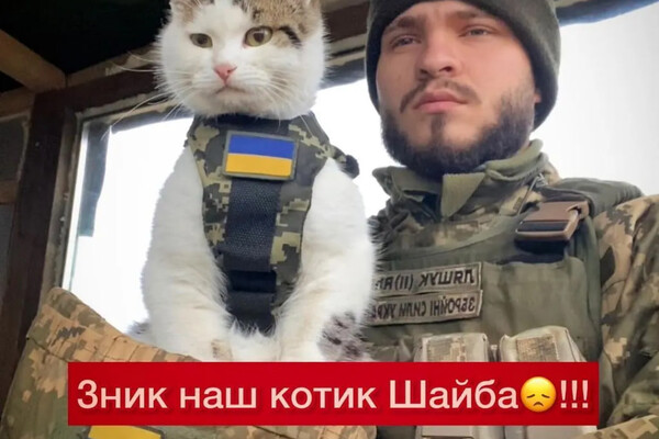 В Одесской области пропал боевой котик &quot;Шайба&quot; фото 2