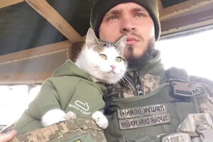 В Одесской области пропал боевой котик &quot;Шайба&quot; фото 4