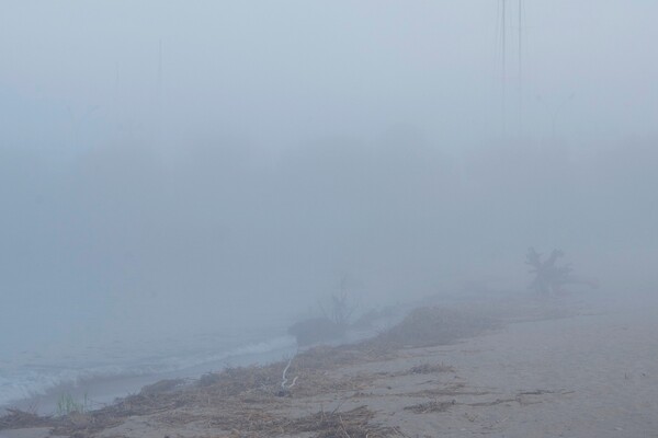Сміття та плавні: в Одесі не прибирають пляж у курортному мікрорайоні фото