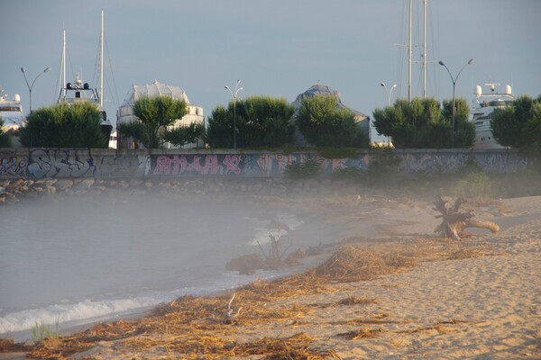 Сміття та плавні: в Одесі не прибирають пляж у курортному мікрорайоні фото 1