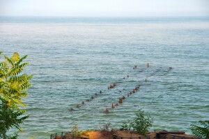 Сміття та плавні: в Одесі не прибирають пляж у курортному мікрорайоні фото 5