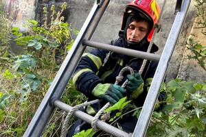 В Одессе спасли завод от пожара фото 4