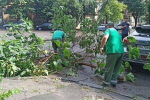 В Одесі через негоду затопило Пересипський район: довелося рятувати людей фото 11
