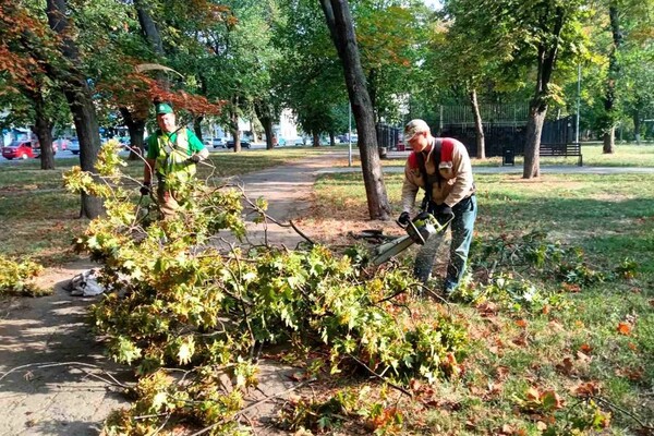 Штормова погода в Одесі: у місті впало 20 дерев, а в області на морі вибухнули міни (оновлено) фото 2