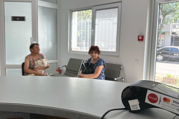 В Одессе бойцовский пес насмерть загрыз шпица фото