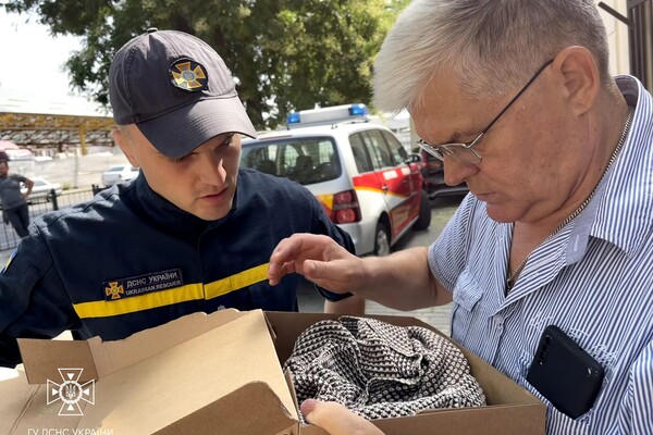 Одеські пожежники врятували стрижа Арчі фото 1