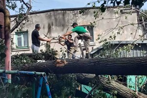 Негода: в Одесі продовжується сильний деревопад фото