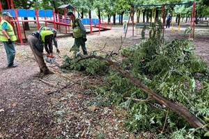 Негода: в Одесі продовжується сильний деревопад фото 1
