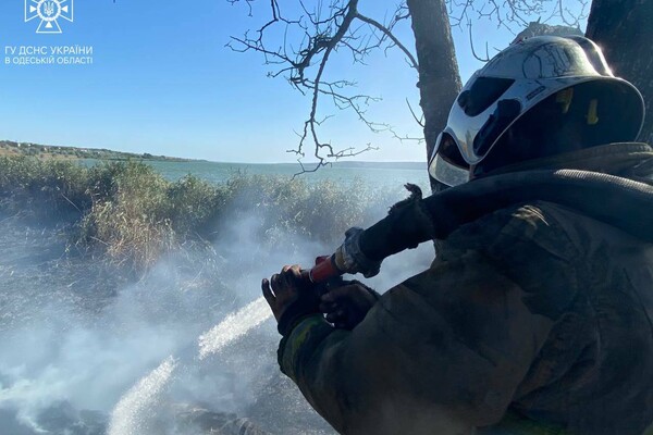 На Одещині сталася масштабна пожежа в дачному кооперативі: спалахнули 15 гектарів фото 1