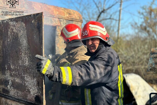 В Одесской области произошел масштабный пожар в дачном кооперативе: загорелись 15 гектар фото 3