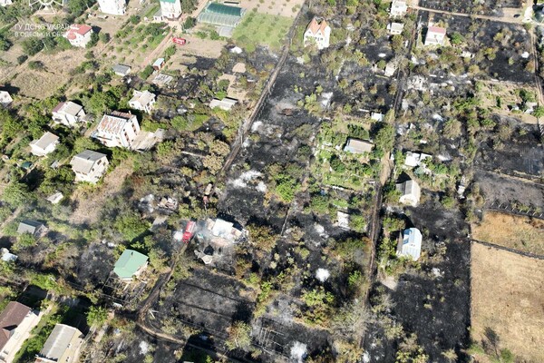 На Одещині сталася масштабна пожежа в дачному кооперативі: спалахнули 15 гектарів фото 4