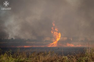 В Одесі на Хаджибейській дорозі на полях горіло більше одного гектара: рятувальники помітили смерч фото 2