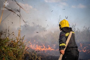 В Одесі на Хаджибейській дорозі на полях горіло більше одного гектара: рятувальники помітили смерч фото 6