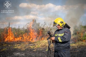 В Одесі на Хаджибейській дорозі на полях горіло більше одного гектара: рятувальники помітили смерч фото 7