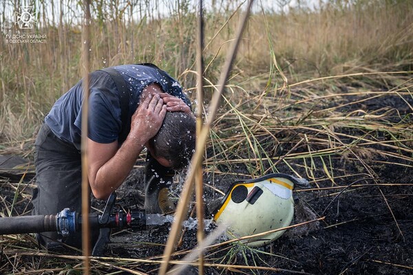 В Одесі на Хаджибейській дорозі на полях горіло більше одного гектара: рятувальники помітили смерч фото 12