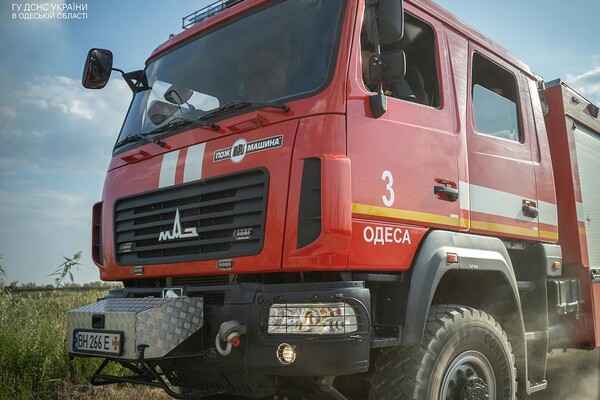 В Одесі на Хаджибейській дорозі на полях горіло більше одного гектара: рятувальники помітили смерч фото 13