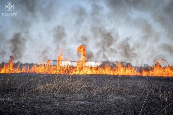 В Одесі на Хаджибейській дорозі на полях горіло більше одного гектара: рятувальники помітили смерч фото 14