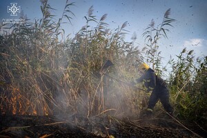 В Одесі на Хаджибейській дорозі на полях горіло більше одного гектара: рятувальники помітили смерч фото 15