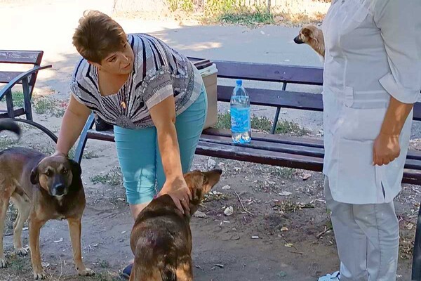 На Одещині за тиждень вакцинували від сказу понад 18 тисяч тварин фото 3
