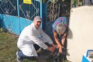 На Одещині за тиждень вакцинували від сказу понад 18 тисяч тварин фото 5