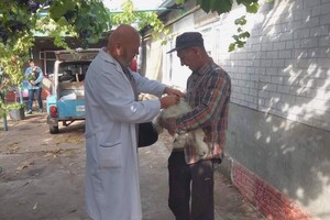 На Одещині за тиждень вакцинували від сказу понад 18 тисяч тварин фото 7