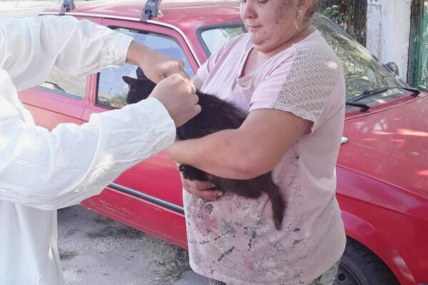 На Одещині за тиждень вакцинували від сказу понад 18 тисяч тварин фото 8