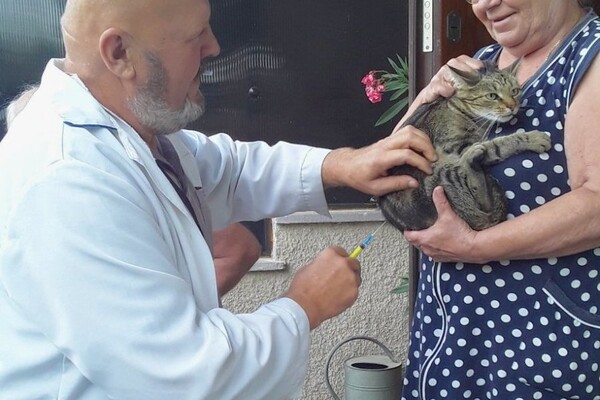 На Одещині за тиждень вакцинували від сказу понад 18 тисяч тварин фото 11