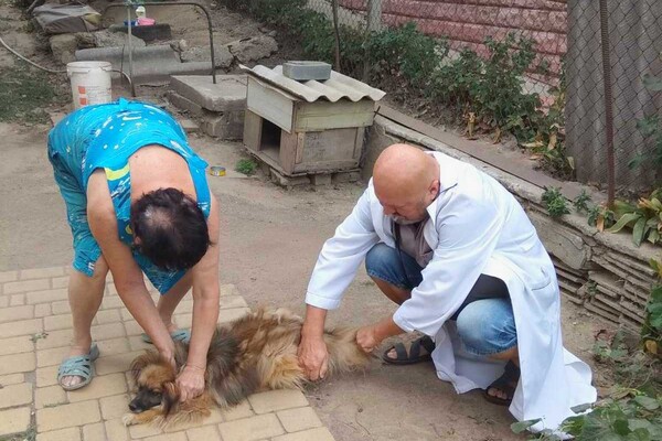 На Одещині за тиждень вакцинували від сказу понад 18 тисяч тварин фото 12