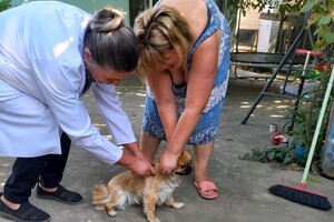 На Одещині за тиждень вакцинували від сказу понад 18 тисяч тварин фото 14