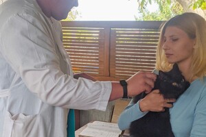 На Одещині за тиждень вакцинували від сказу понад 18 тисяч тварин фото 19