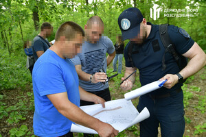 У нацпарку на Одещині незаконно зрубали дерева на 80 мільйонів фото 5