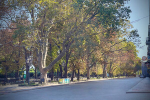 В Одессе откроют для пешеходов Приморский бульвар фото 6
