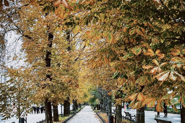 В Одесу нарешті прийшла справжня осінь (фото, відео) фото 3