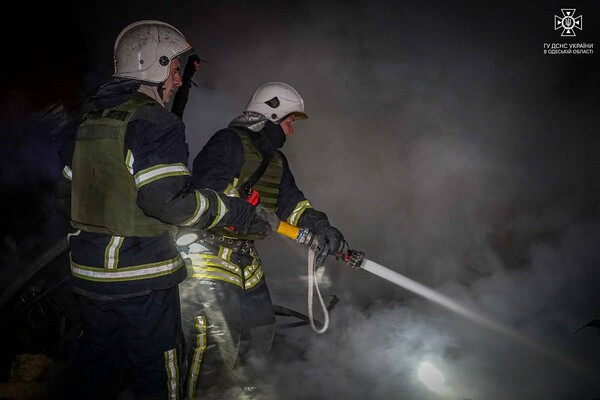 Під Одесою сталися дві масштабні пожежі: загинув чоловік фото 4