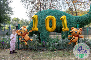 Одеському зоопарку 101 рік: на території відкрили новий арт-об'єкт фото 18