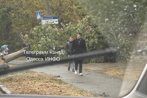 Непогода: сильный ветер в Одессе повалил 46 деревьев и больших веток (обновлено) фото 2
