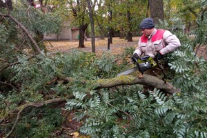 Непогода: сильный ветер в Одессе повалил 46 деревьев и больших веток (обновлено) фото 20