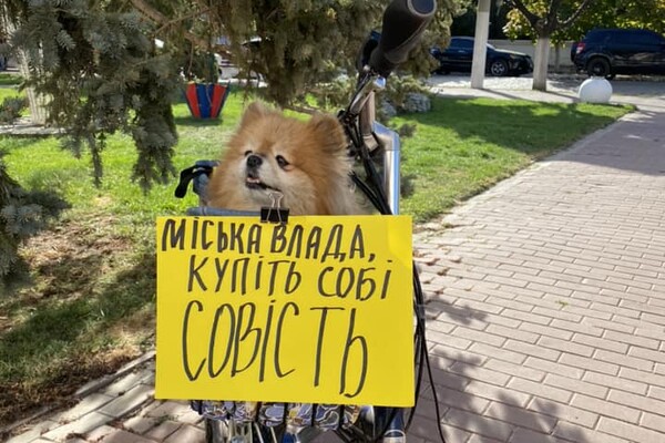 Протесты из-за неуместных тендеров теперь проводят не только в Одессе, а и в области фото