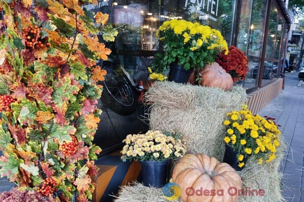 Витрины одесских магазинов и кафе украсили город к Хэллоуину (фото) фото 15