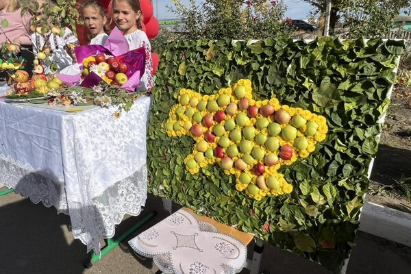 Рекорд: на Одещині діти виклали величезний портрет Тараса Шевченка з яблук фото 5