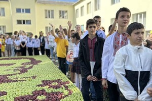 Рекорд: в Одесской области дети выложили огромный портрет Тараса Шевченко из яблок фото 7