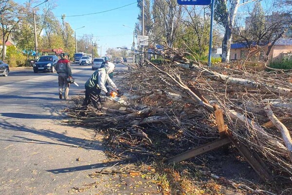 Деревопад и обесточенные населенные пункты: к каким последствиям привела непогода в Одесской области фото 1