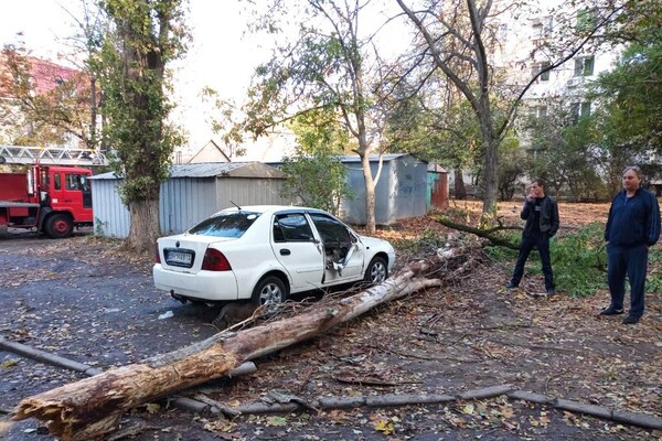 Деревопад и обесточенные населенные пункты: к каким последствиям привела непогода в Одесской области фото 2
