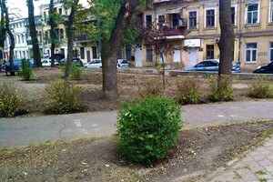 В Одессе преображают Старобазарный сквер фото 8