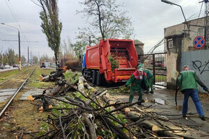 Непогода в Одессе повалила деревья: коммунальщики ликвидируют последствия (фото) фото 4