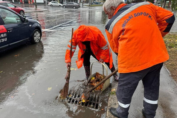 Непогода в Одессе повалила деревья: коммунальщики ликвидируют последствия (фото) фото 7