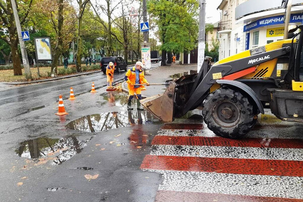 Непогода в Одессе повалила деревья: коммунальщики ликвидируют последствия (фото) фото 8