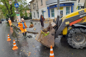 Непогода в Одессе повалила деревья: коммунальщики ликвидируют последствия (фото) фото 9