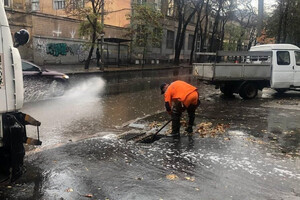 Непогода в Одессе повалила деревья: коммунальщики ликвидируют последствия (фото) фото 11