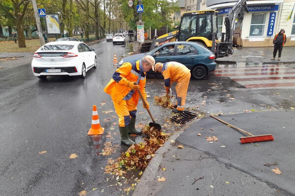 Непогода в Одессе повалила деревья: коммунальщики ликвидируют последствия (фото) фото 14
